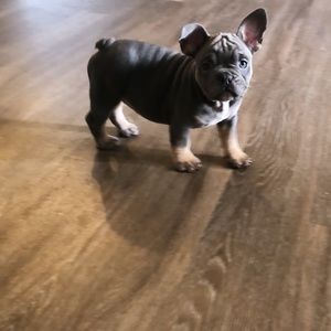 Meet your Posher, Danielle